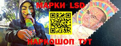 стафф Будённовск